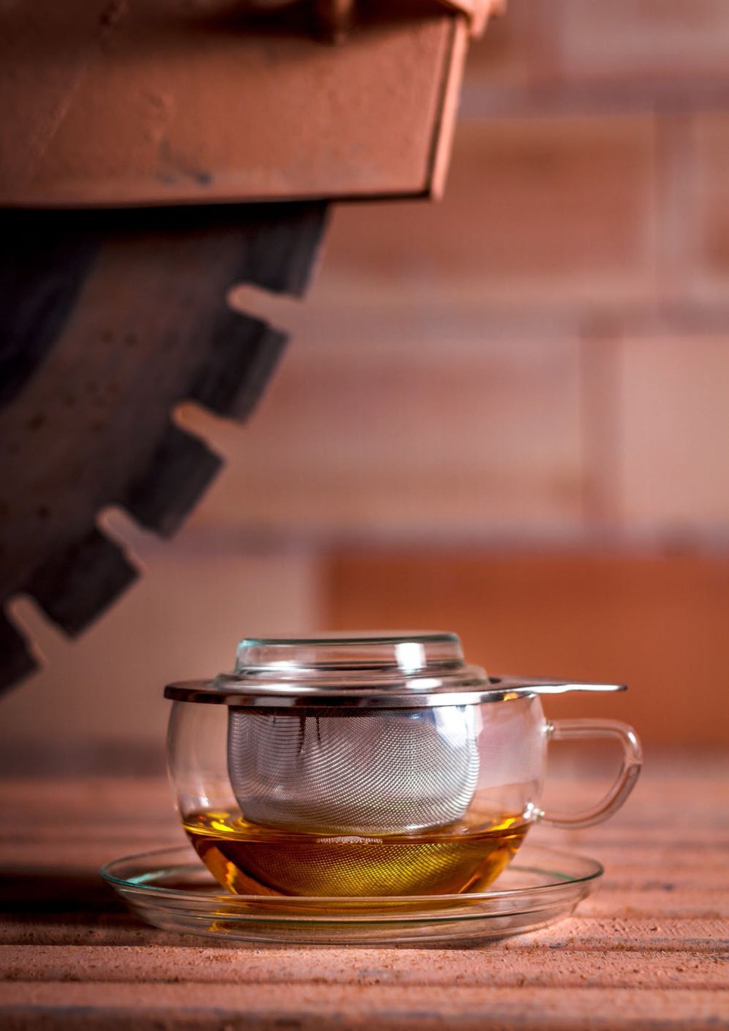 Trendglas Jena Tea Cup with Steel Strainer
