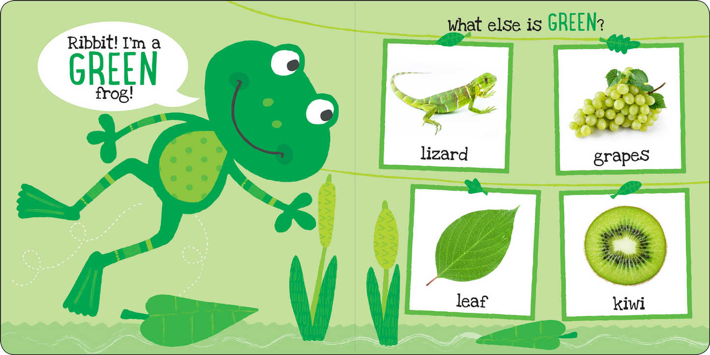I'm Learning My Colors! Board Book