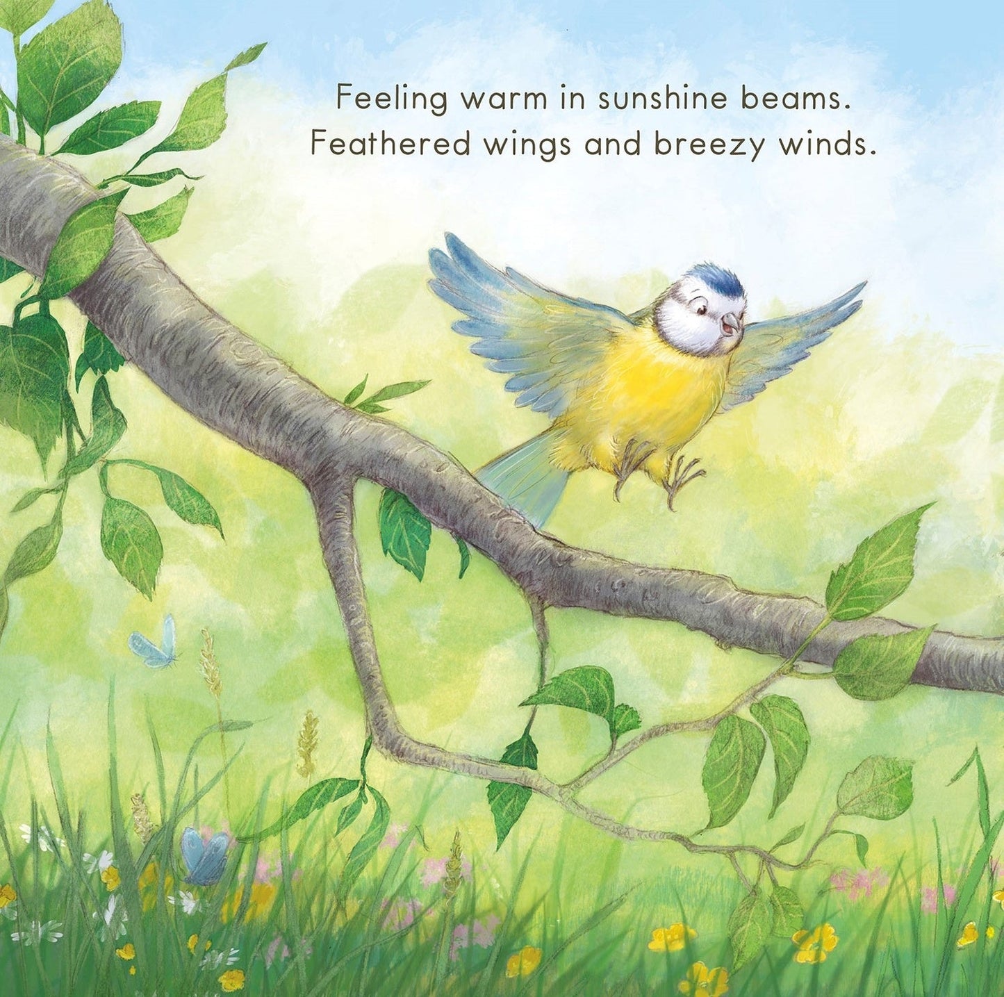 Welcome to the World (Hardcover Picture Book)
