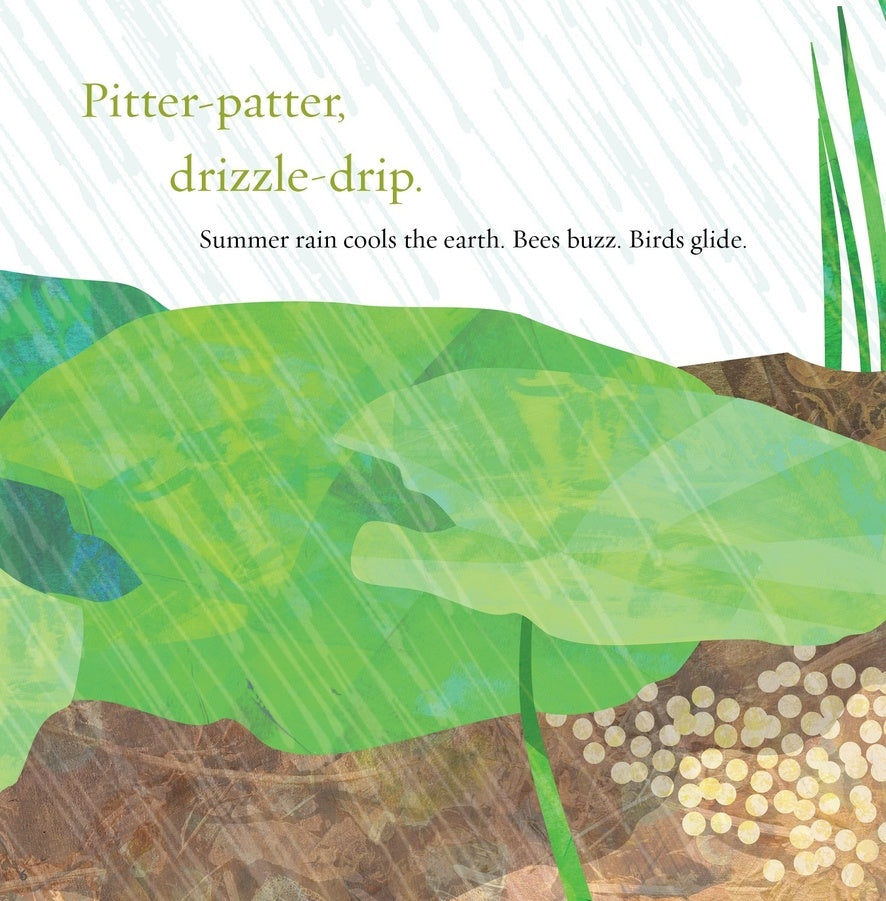 Light the Sky, Firefly! Picture book