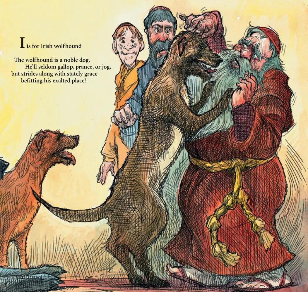 S is for Shamrock: An Ireland Alphabet picture book