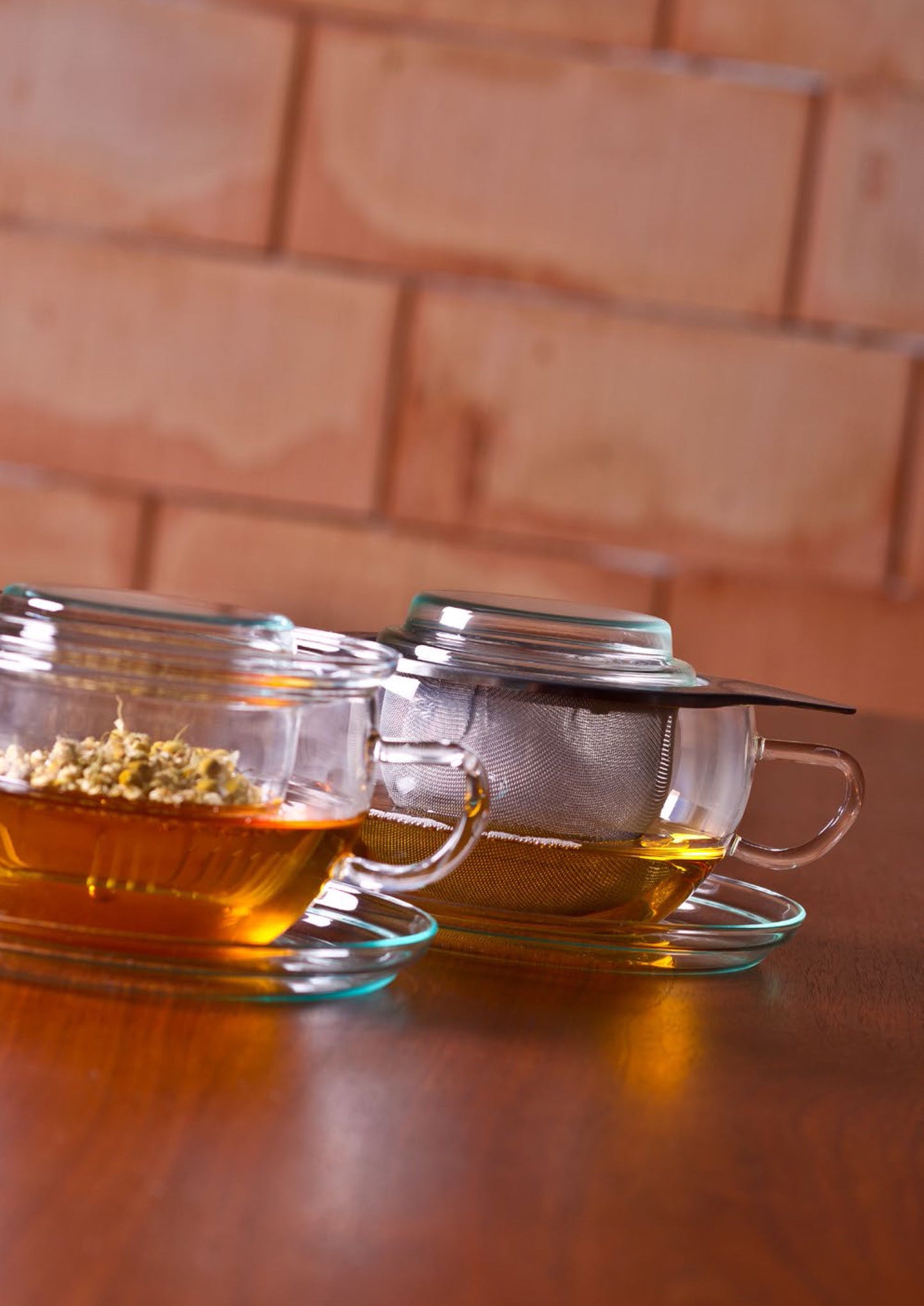 Trendglas Jena Tea Cup with Steel Strainer
