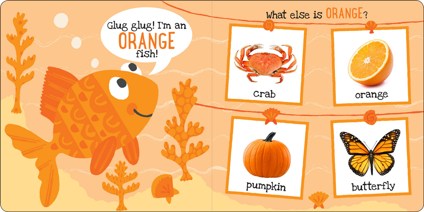 I'm Learning My Colors! Board Book