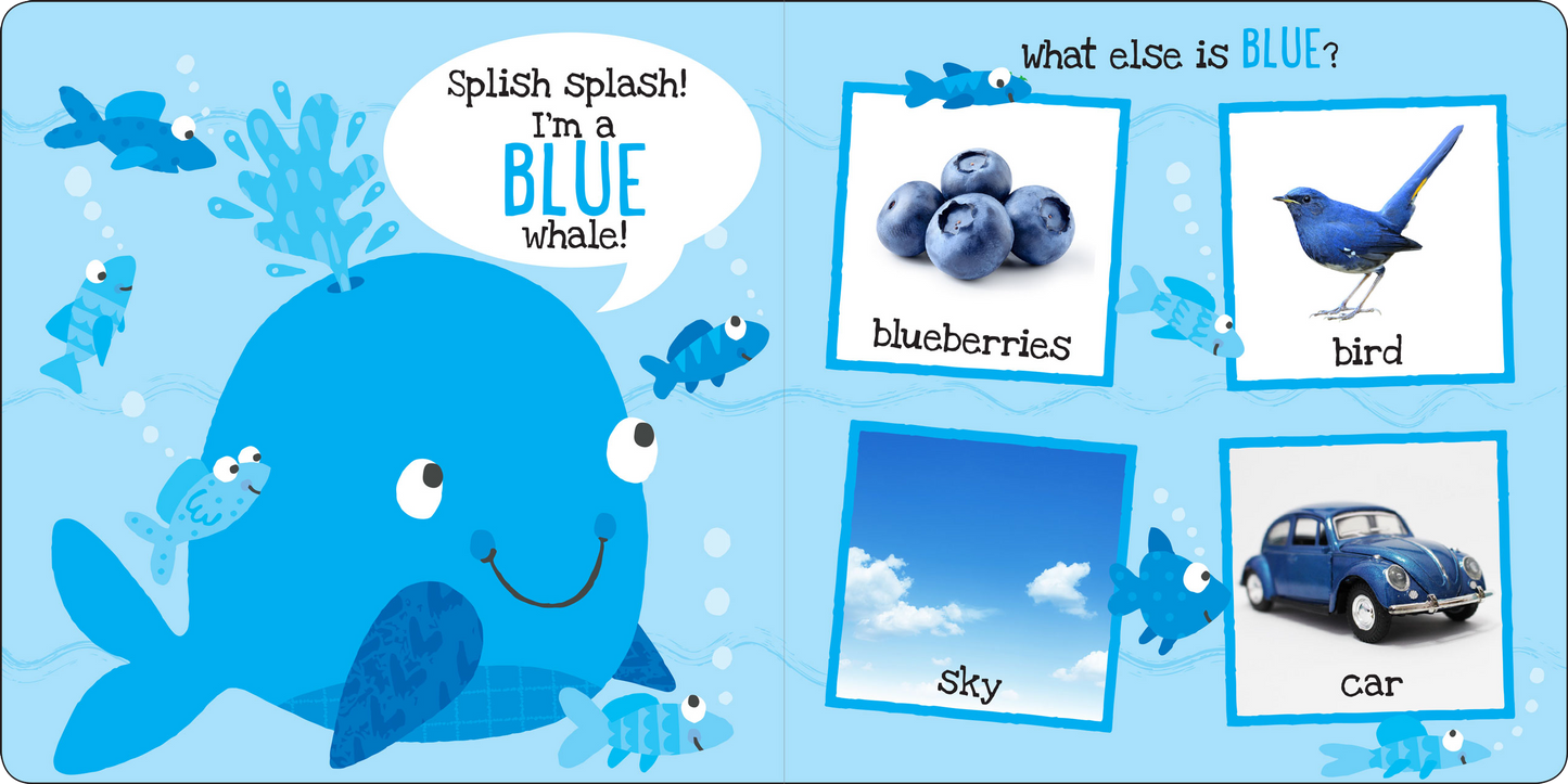 I'm Learning My Colors! Board Book