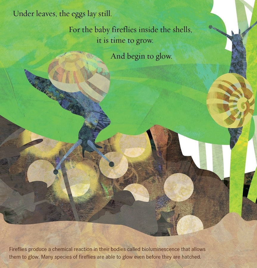 Light the Sky, Firefly! Picture book