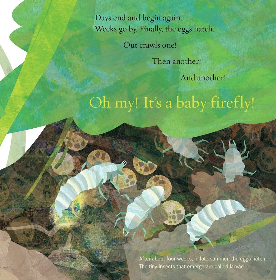 Light the Sky, Firefly! Picture book
