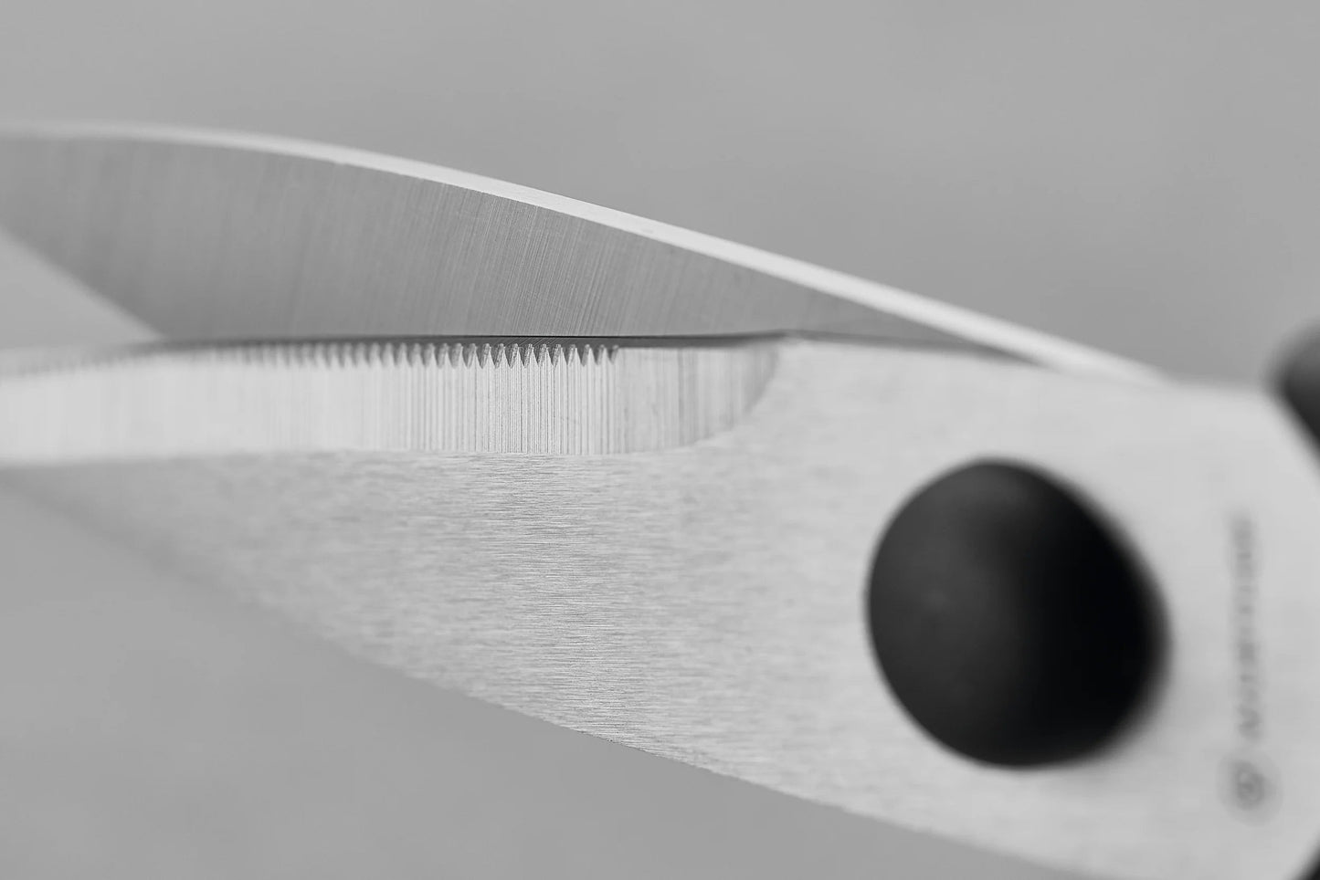 Pull-Apart Kitchen Shears