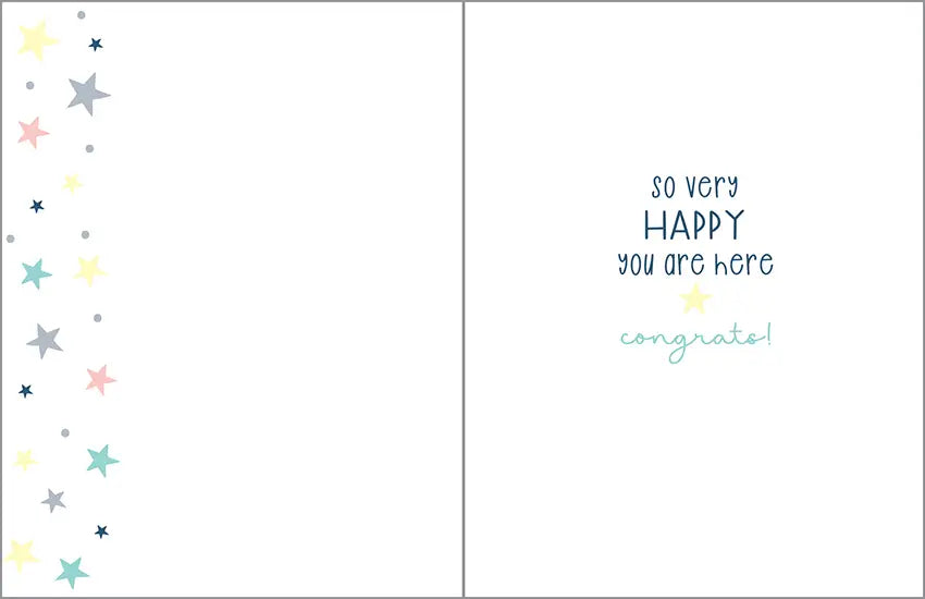 Baby Greeting Card - Bear On Swing