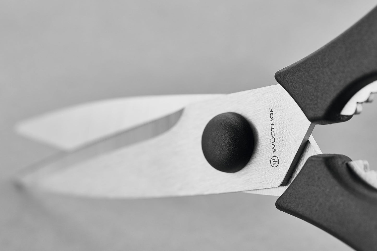 Pull-Apart Kitchen Shears