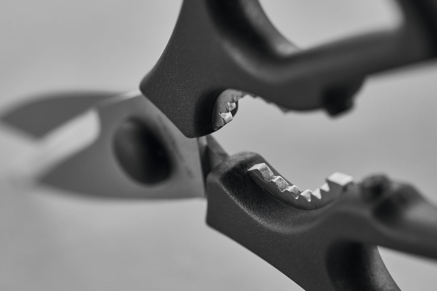 Pull-Apart Kitchen Shears