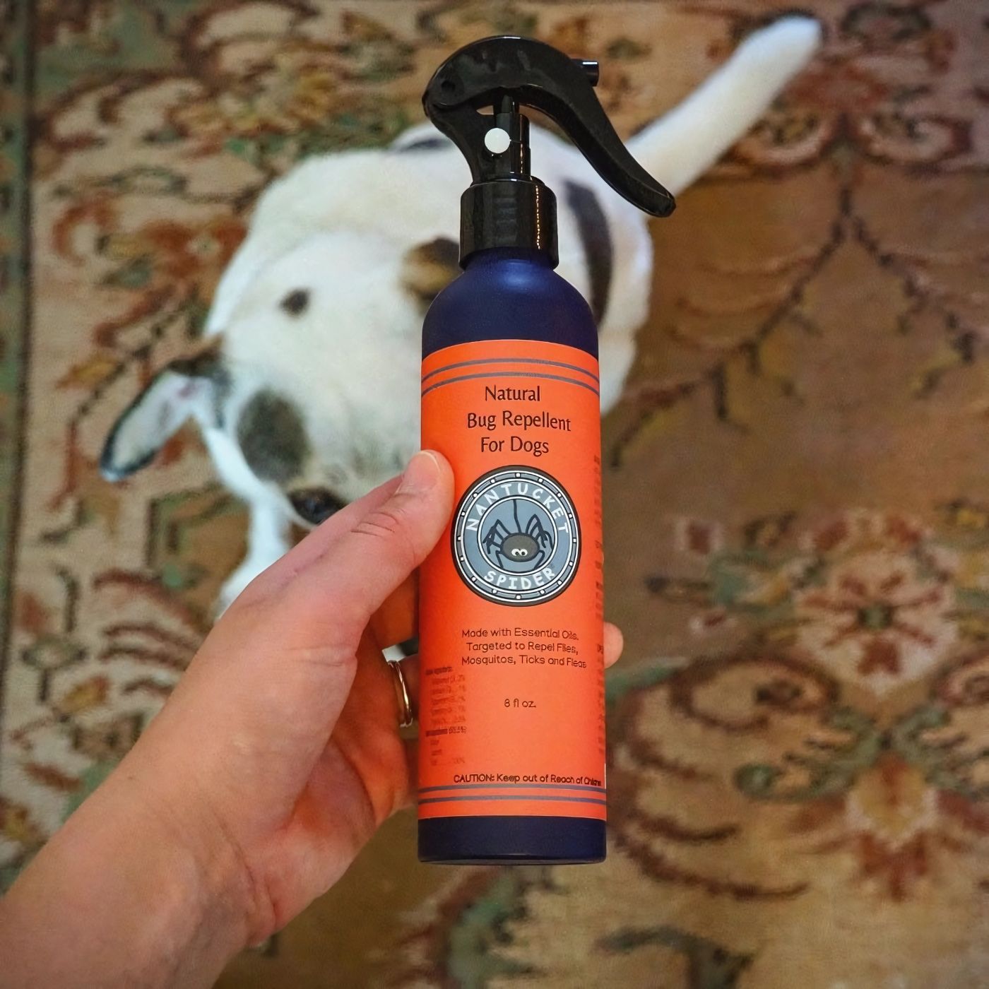 Nantucket Spider Natural Insect, Flea & Tick Repellent for Dogs