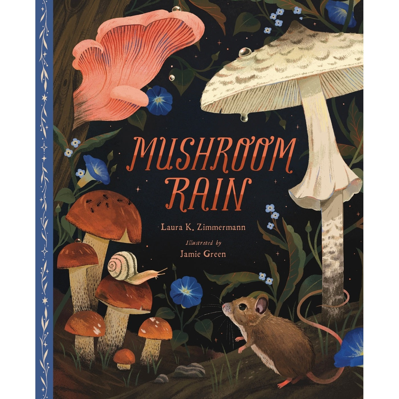 Mushroom Rain, picture book