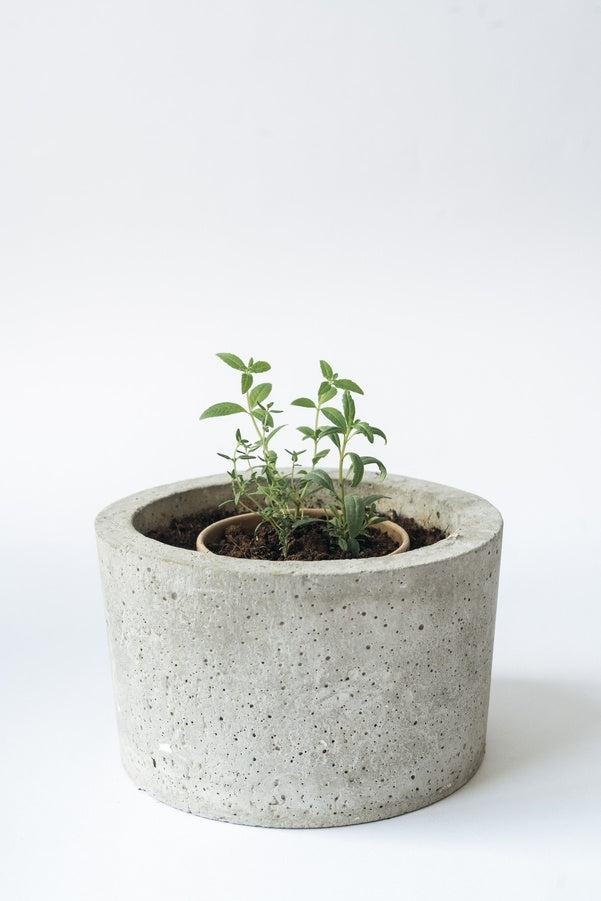 Christmas - Drink It, Plant It