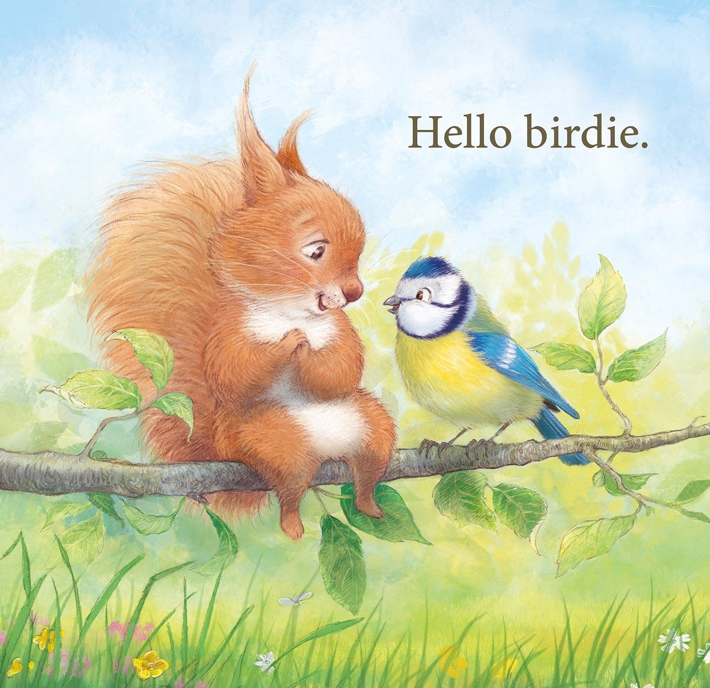 Welcome to the World (Hardcover Picture Book)