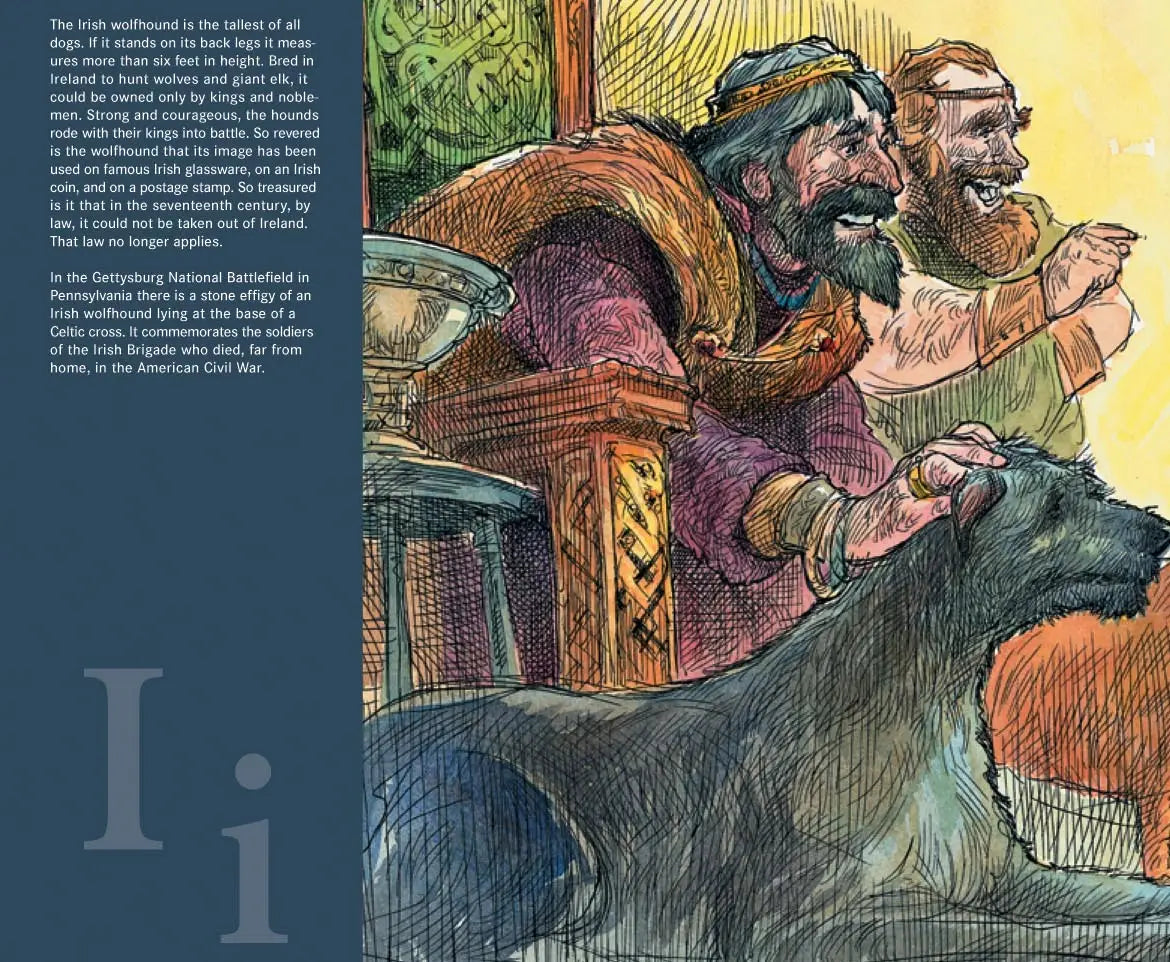 S is for Shamrock: An Ireland Alphabet picture book
