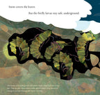 Light the Sky, Firefly! Picture book