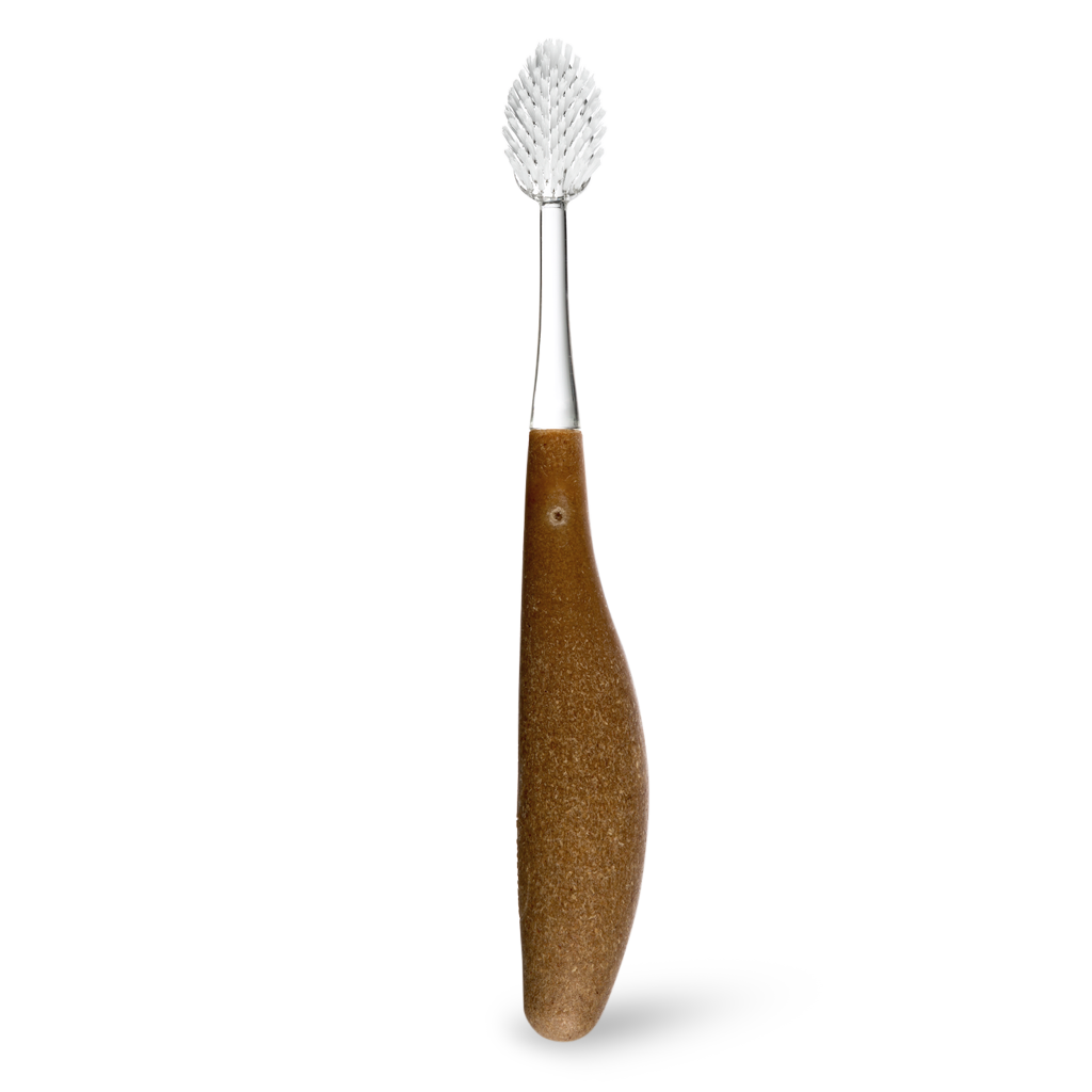 RADIUS® Source™ Brush – Eco-Friendly Toothbrush with Replaceable Head Medium