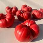 Scandles Heirloom Tomato Candle - Large