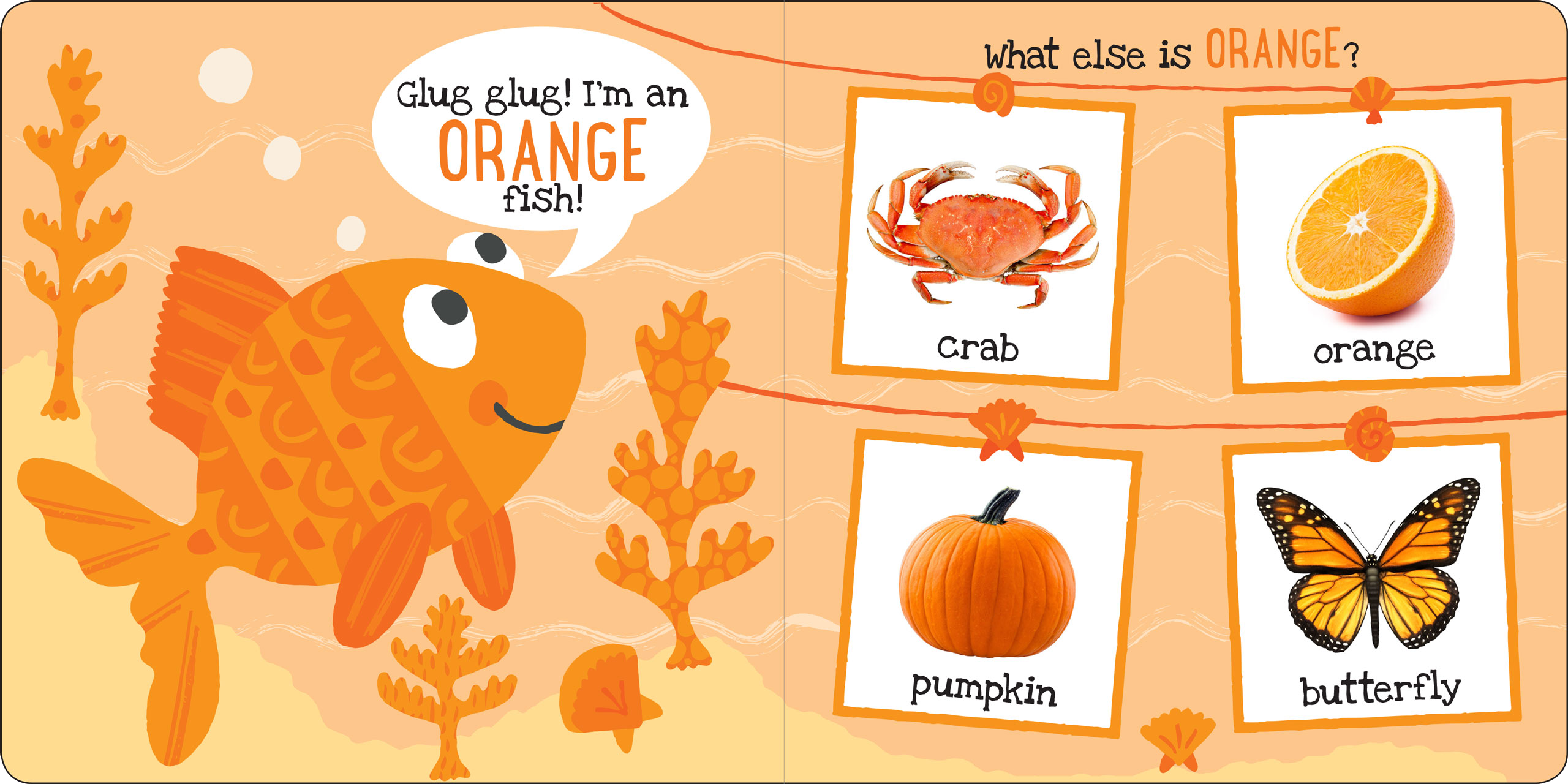 I'm Learning My Colors! Board Book