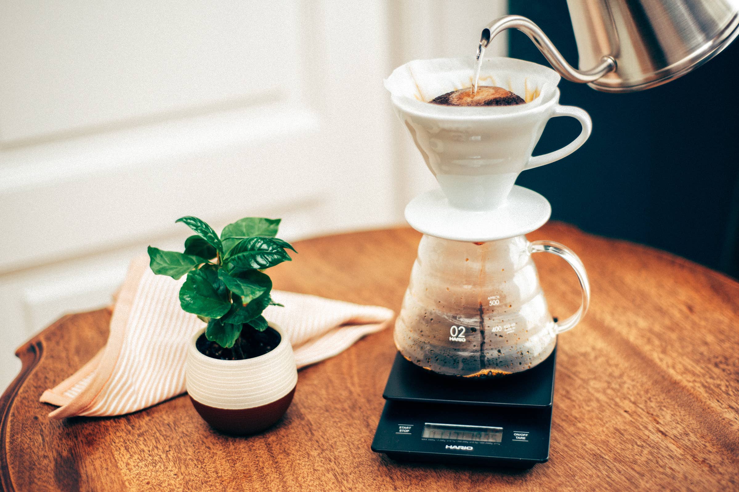 Hario V60 Ceramic Coffee Dripper 02