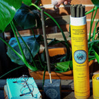 Nantucket Spider Mosquito & Fly Repelling Outdoor Garden Incense Sticks - Woodland