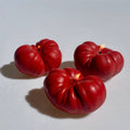 Scandles Heirloom Tomato Candle - Large