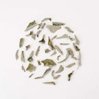 Monovarietals - Organic Herbal Teas (Sage)