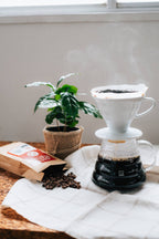 Hario V60 Ceramic Coffee Dripper 02