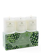 Roland Pine 2.2 oz Votive Glass Soy Candle Set