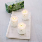 Roland Pine 2.2 oz Votive Glass Soy Candle Set