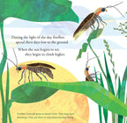 Light the Sky, Firefly! Picture book
