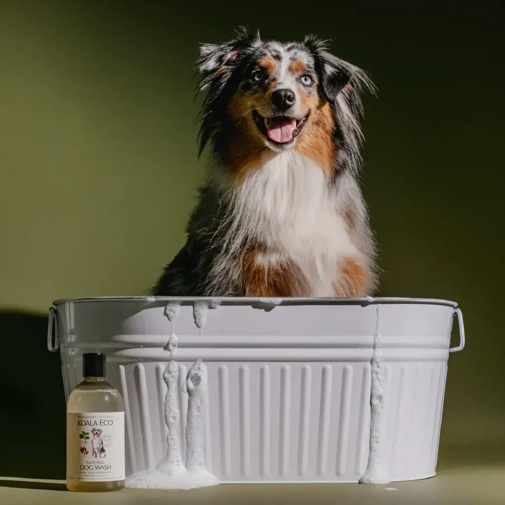 Koala Eco Sweet Marjoram & Rosalina Dog Wash