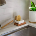 ZWS Long Handle Dish Brush | Brush With Head