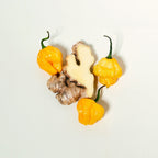 Queen Majesty Scotch Bonnet & Ginger Hot Sauce - 5oz