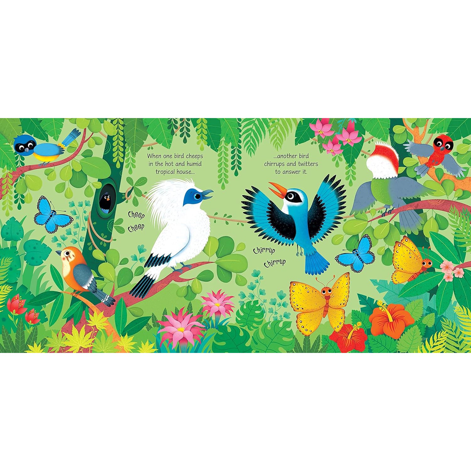 Usborne Zoo Sound Book – Interactive Board Book