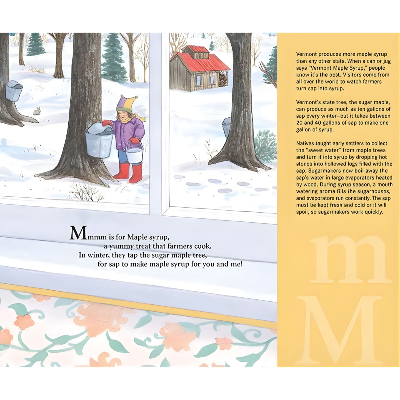A VERMONT picture book: M is for Maple Syrup