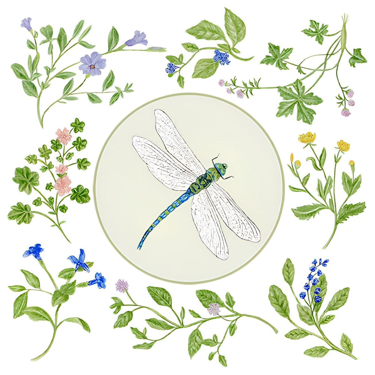 Cotton flour sack dish towel with dragonfly design