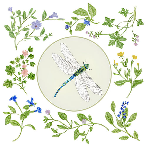 Cotton flour sack dish towel with dragonfly design