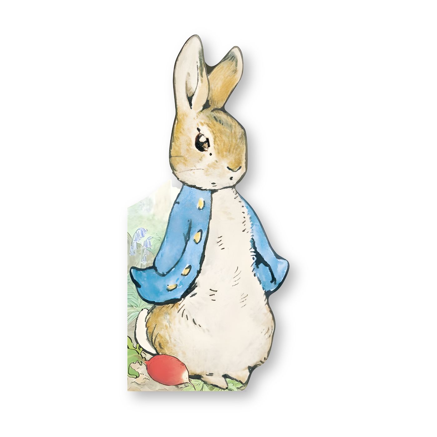 All About Peter Rabbit shaped board book