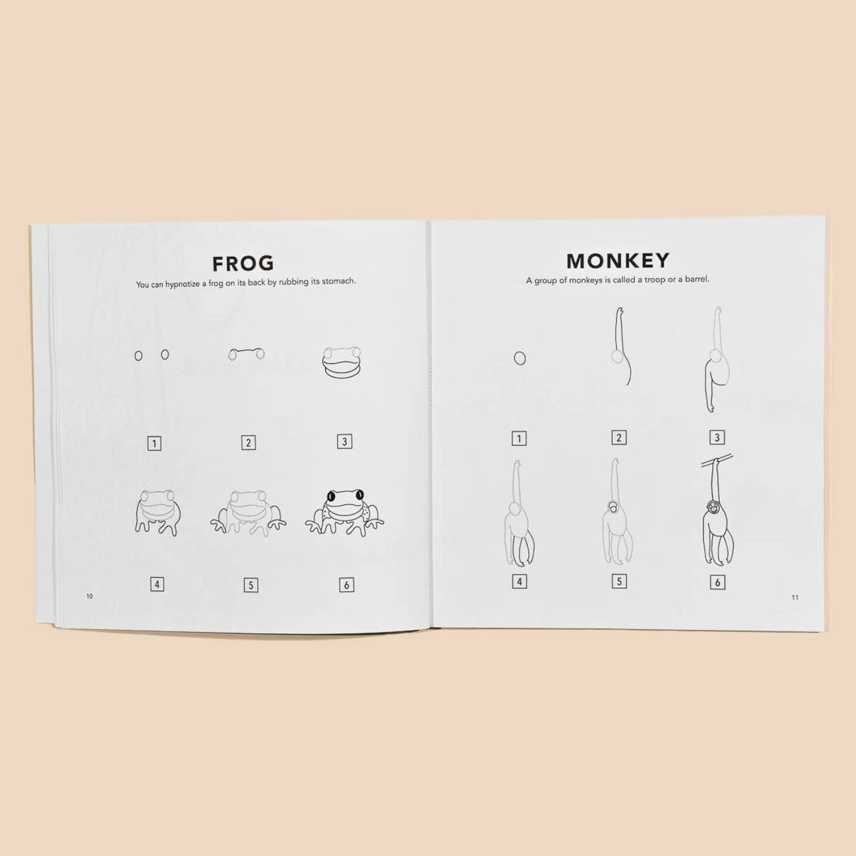 Step-by-step animal drawing book for children ages 7 to 12