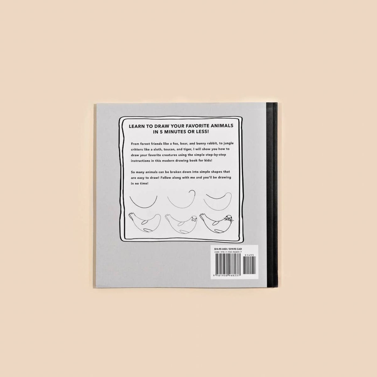 Alli Koch beginner how to draw animals activity book