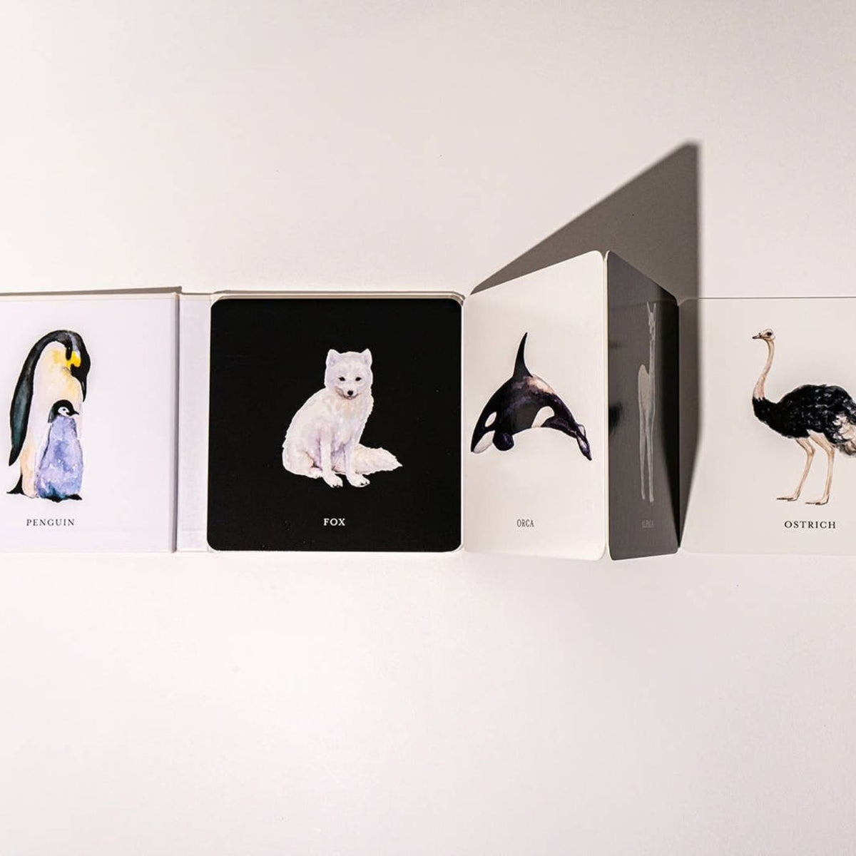 Black and white high contrast animal book for newborn babies
