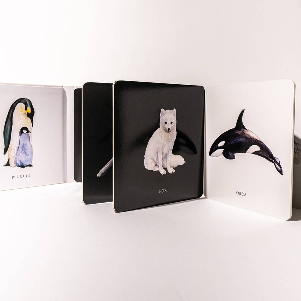 High contrast animal illustrations for newborn visual exploration