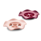 Plant propagation plate with cuttings