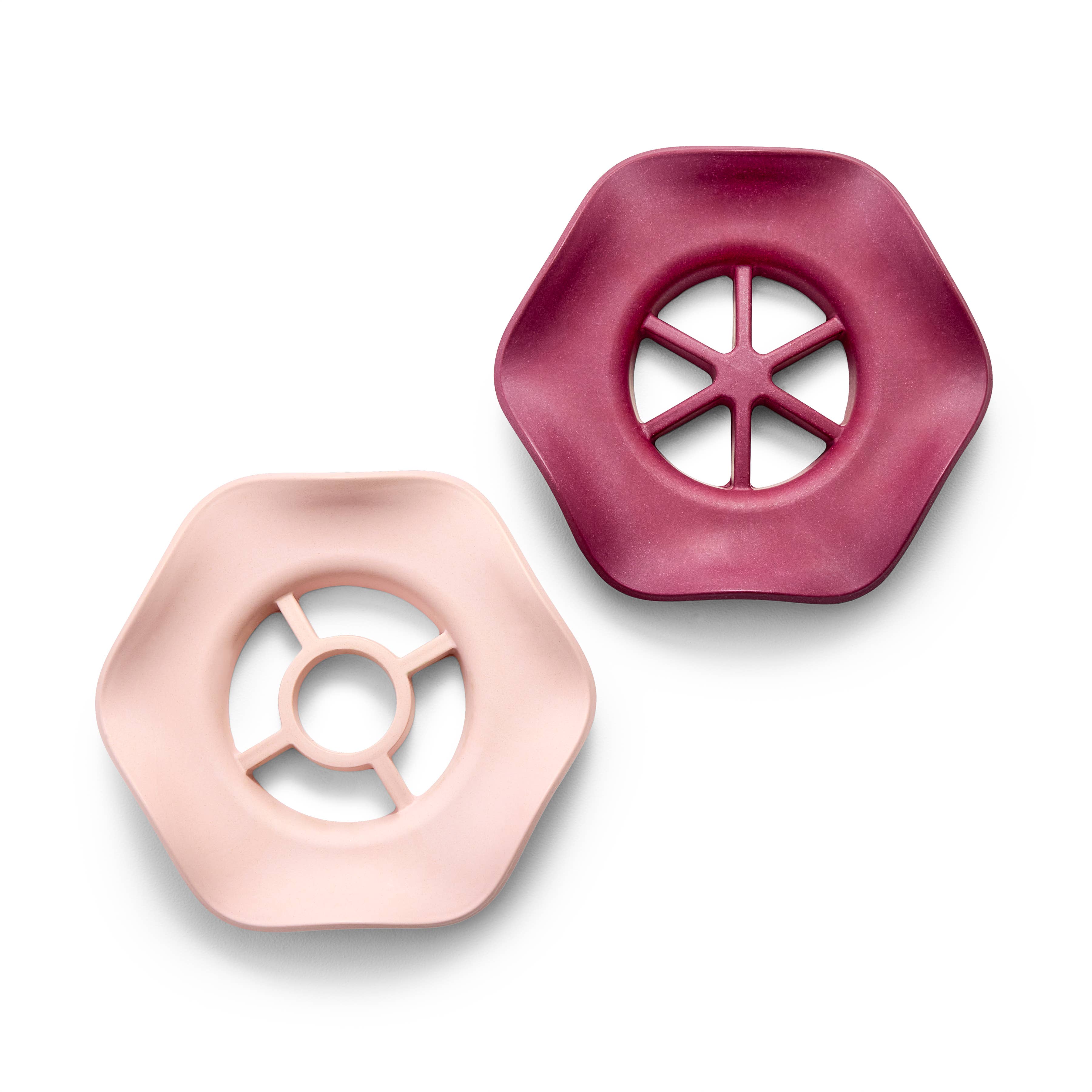 Plant propagation plate with cuttings top view