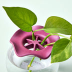 Minimal floral arrangement tool glass vessel