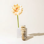 White sage smudge stick with colorful wildflowers