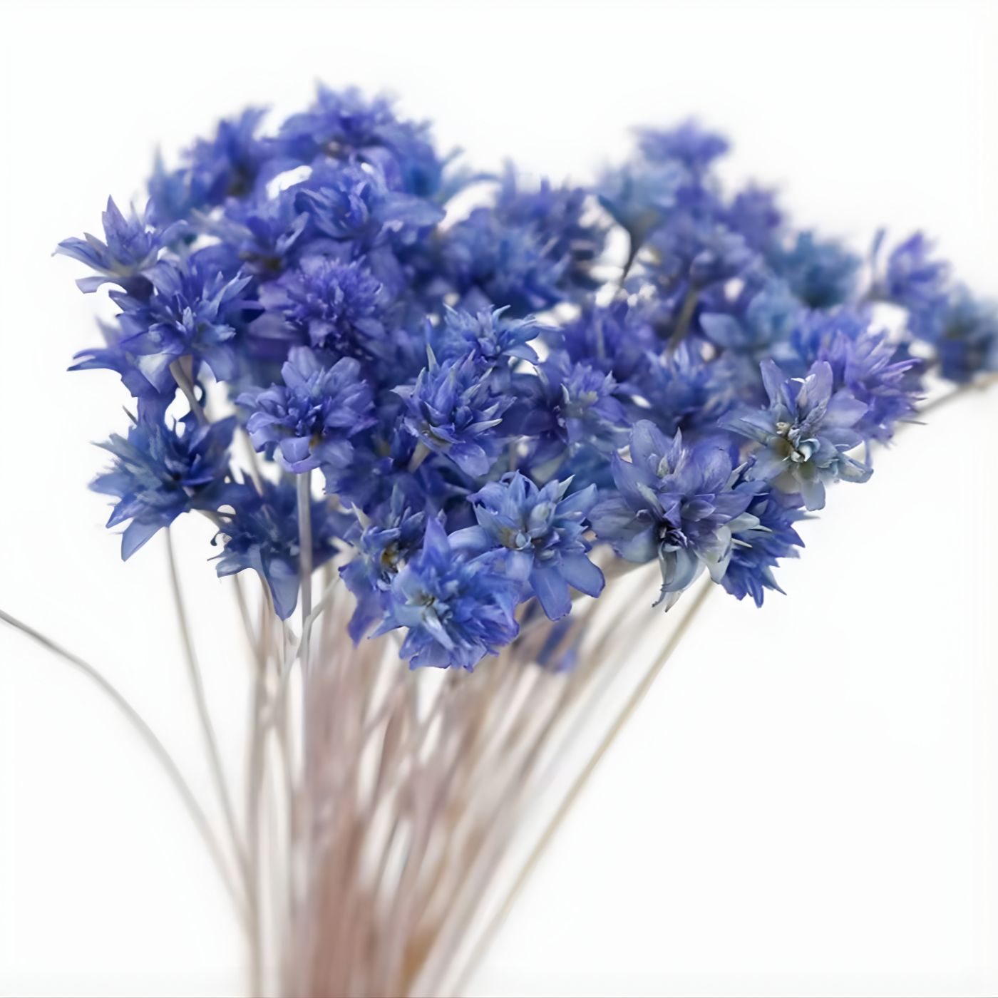 Wildflowers in pewter blue