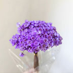 Wildflowers in lavender