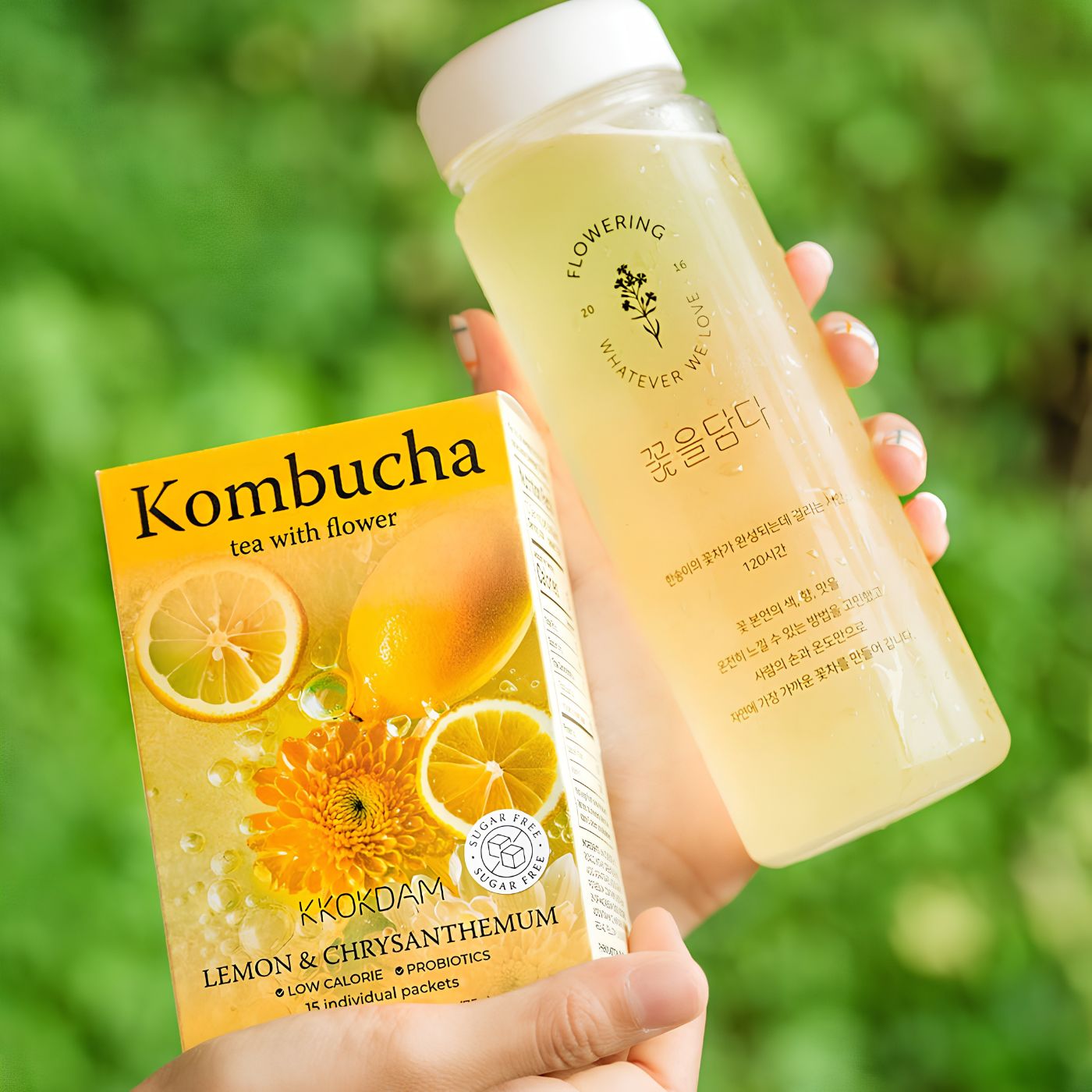 Korean lemon chrysanthemum kombucha drink
